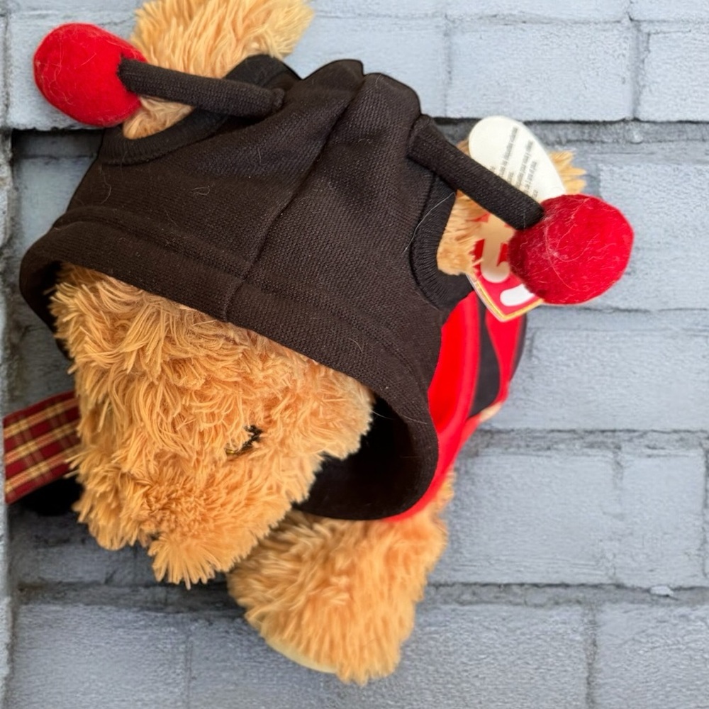 Plush Toy in Ladybug Costume